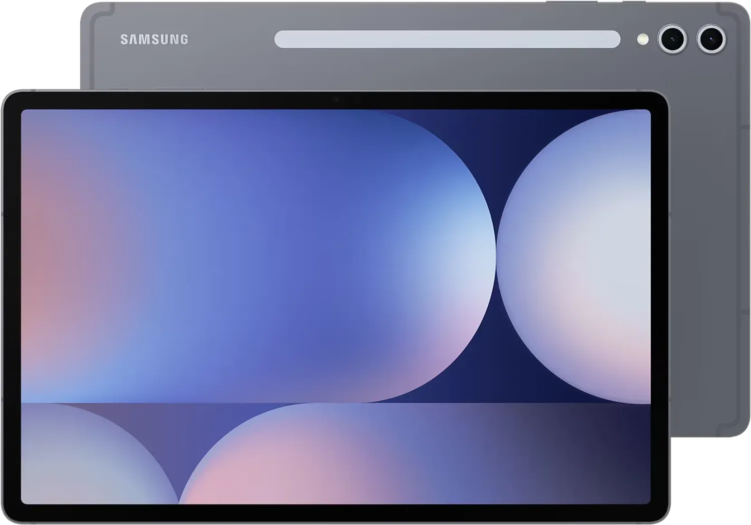 Samsung Galaxy Tab S10+ X820, Moonstone Gray, 12GB RAM, 512GB