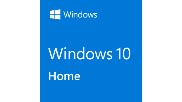 Microsoft Windows 10/11 Home