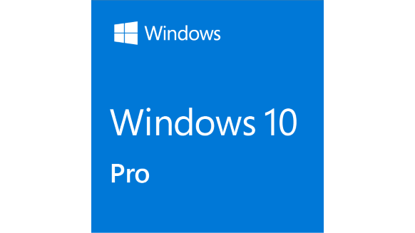 Microsoft Windows 10/11 Pro