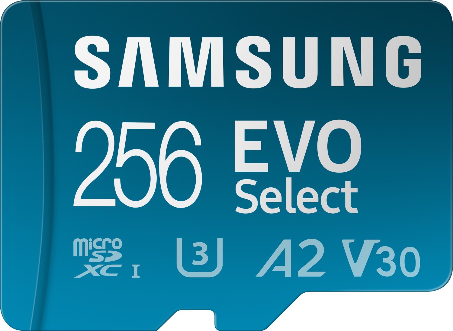 256GB Micro-SD Samsung Evo Select